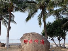 -万绿园