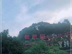 -枇杷园食为鲜火锅(南山店)