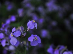 -白塘生态植物园