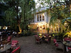 -Fern Forest Cafe