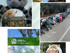 -红山森林动物园