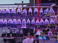 -华声天桥民俗文化园