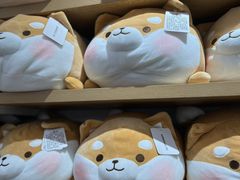 -名创优品(海珠乐峰广场店)
