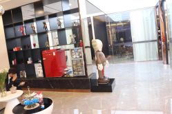 -CD Hair salon