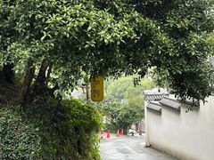 -杭州西湖风景名胜区-满觉陇四眼井