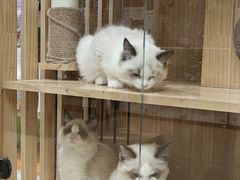 -沐沐家宠物(成寿寺店)