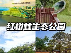 -莲花山公园