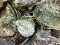 -老杨饭店(万科里店)