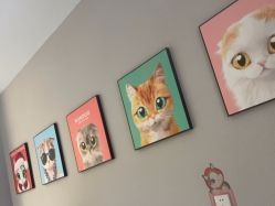 -洗脸猫·洗脸吧