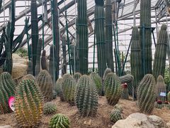 -南山植物园