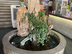 -都江堰石锅鱼