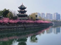 -望江楼公园