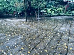 -鼎湖山风景区