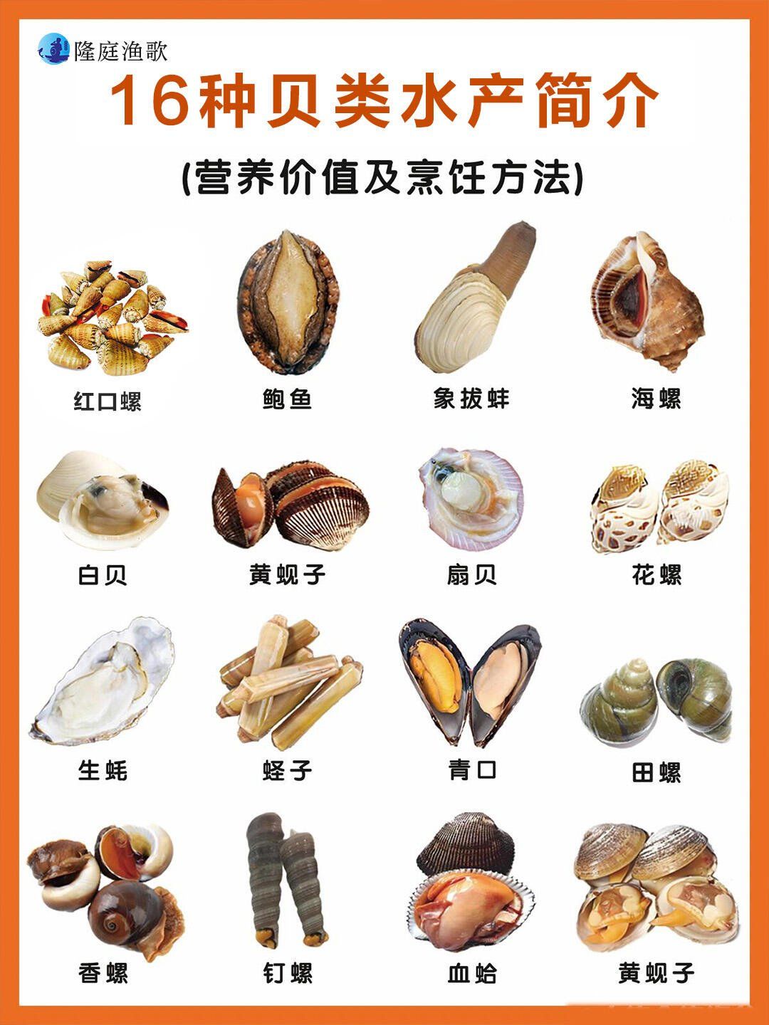 常见贝类水产简介