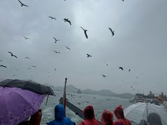 -海驴岛(荣成市)