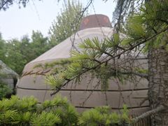 -九十九顶毡房(阜石路店)