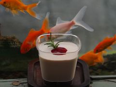 -东钱湖旅游度假区