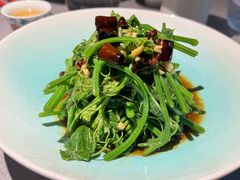 -南堂馆·新川菜(春熙路店)