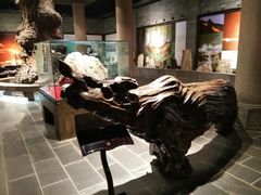 -乐山乌木文化博览苑