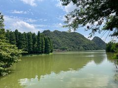-鼎湖山风景区