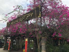 门面-Mekong Rest Stop