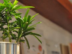 -如禾素食·下午茶·糖水