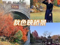 -朴园