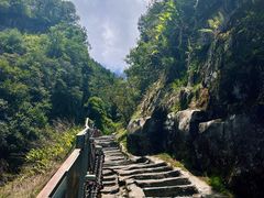 -寂照庵