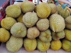 -万众国际批发市场