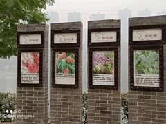 -重庆彩云湖湿地公园