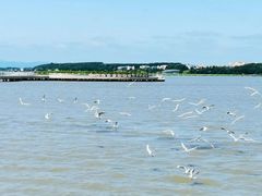 -农垦当壁镇兴凯湖旅游度假区