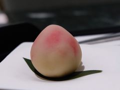 一颗桃子-青山研究所Aoyama Lab