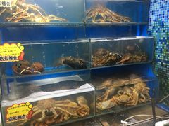 -蚝专家(北滘店)
