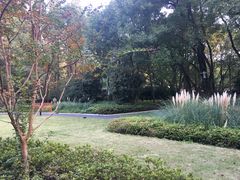 -徐家汇源景区-衡山公园