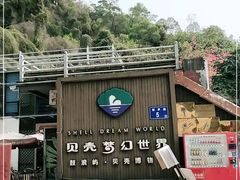 -贝壳梦幻世界