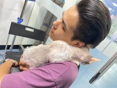 -特一安24小时宠物医院·骨科·中兽医