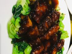 素海参扒菜心-功德林(南京西路店)