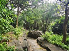 -广州雕塑公园