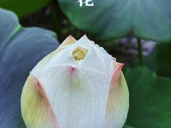 -天台山国清景区(国清寺)
