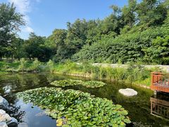 -国家植物园南园