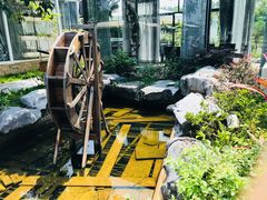 -花溪雨·森林餐厅(石基店)