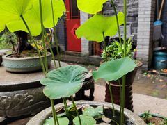-老张烤羊(王哥庄店)