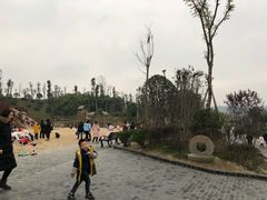 -枫香湖儿童公园