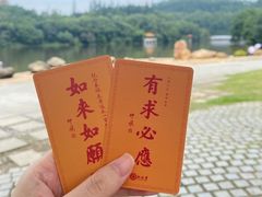-深圳仙湖植物园