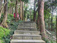 -小南山公园