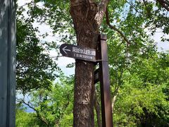 -阳台山自然风景区