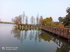 -海珠湖公园