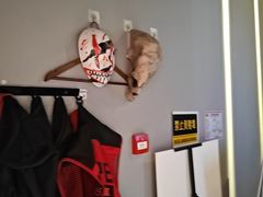 -Xcape异时刻密室逃脱魔法互动(瑞虹天地太阳宫店)