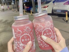 -野萃山·潮汕厚果汁(十亩地店)