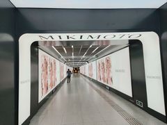 -大望路(地铁站)